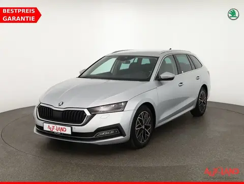 Used SKODA OCTAVIA Diesel 2020 Ad 