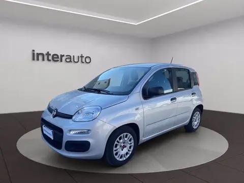 Annonce FIAT PANDA Hybride 2020 d'occasion 