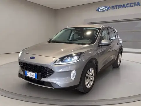 Used FORD KUGA Diesel 2021 Ad 