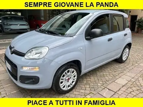 Annonce FIAT PANDA Essence 2020 d'occasion 