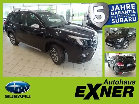 Used SUBARU FORESTER Petrol 2024 Ad 