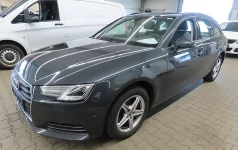 Used AUDI A4 Diesel 2019 Ad 