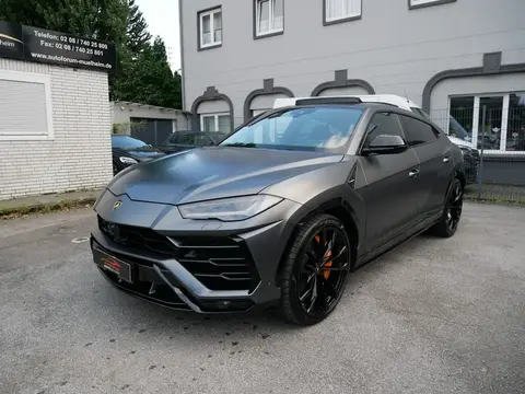 Used LAMBORGHINI URUS Petrol 2019 Ad 