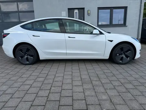 Used TESLA MODEL 3 Not specified 2023 Ad 