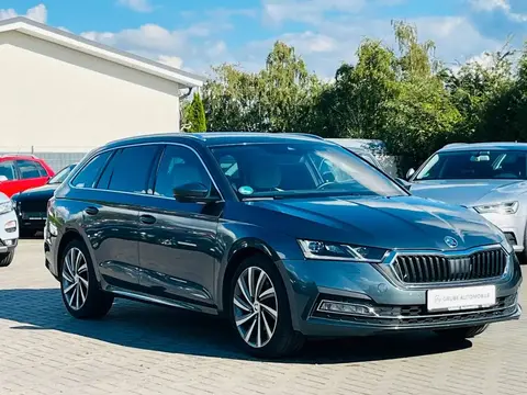 Annonce SKODA OCTAVIA Diesel 2020 d'occasion 