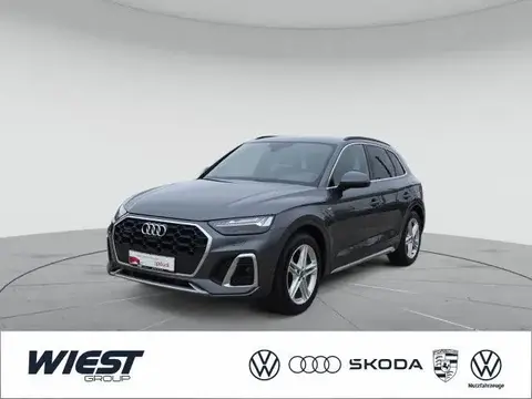 Used AUDI Q5 Hybrid 2021 Ad 