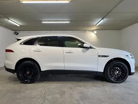 Used JAGUAR F-PACE Diesel 2017 Ad 