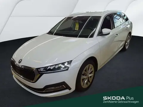 Annonce SKODA OCTAVIA Essence 2024 d'occasion 