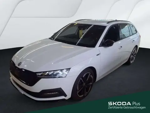 Annonce SKODA OCTAVIA Essence 2024 d'occasion 