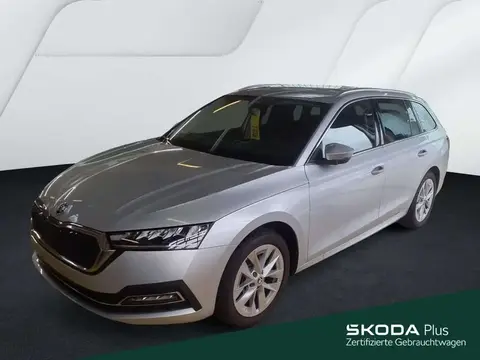 Annonce SKODA OCTAVIA Essence 2024 d'occasion 