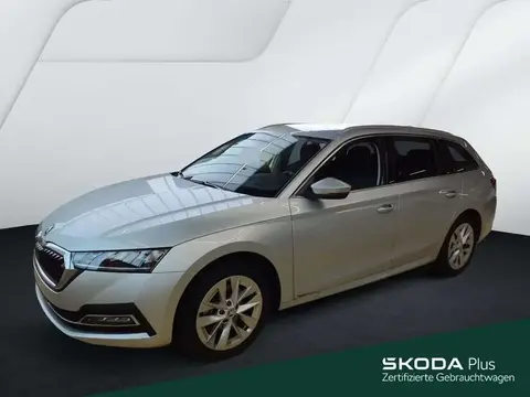 Used SKODA OCTAVIA Petrol 2024 Ad 