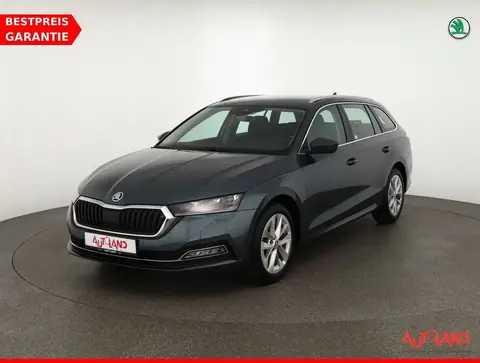 Used SKODA OCTAVIA Petrol 2021 Ad 