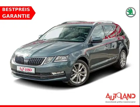 Annonce SKODA OCTAVIA Diesel 2017 d'occasion 