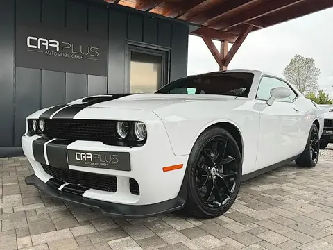 Used DODGE CHALLENGER Petrol 2019 Ad 