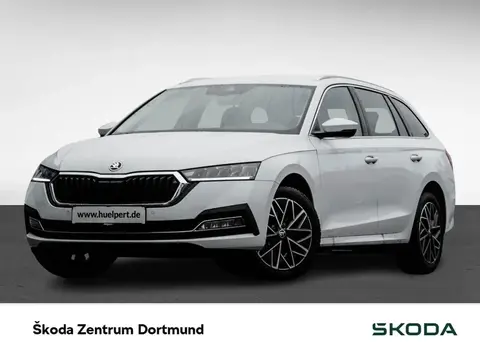 Annonce SKODA OCTAVIA Diesel 2024 d'occasion 