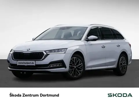 Annonce SKODA OCTAVIA Diesel 2024 d'occasion 