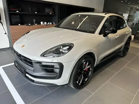 Used PORSCHE MACAN Petrol 2023 Ad 