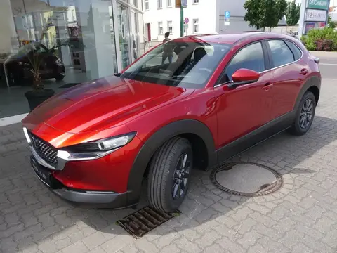 Annonce MAZDA CX-30 Essence 2024 d'occasion 