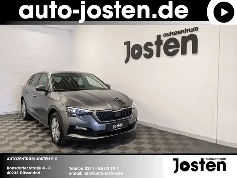 Used SKODA SCALA Petrol 2023 Ad 