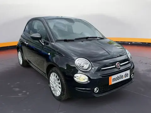 Used FIAT 500 Petrol 2023 Ad 