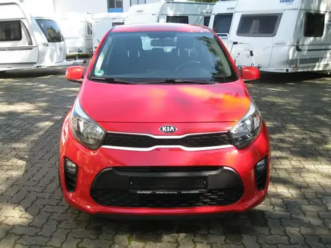 Annonce KIA PICANTO Essence 2019 d'occasion 