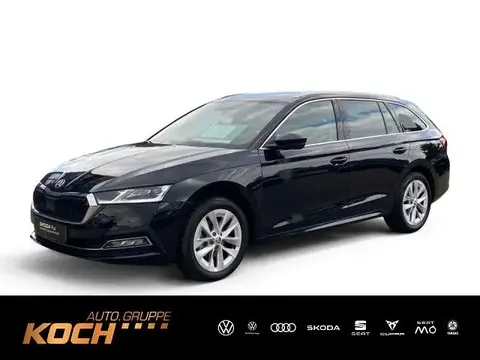 Used SKODA OCTAVIA Diesel 2023 Ad 