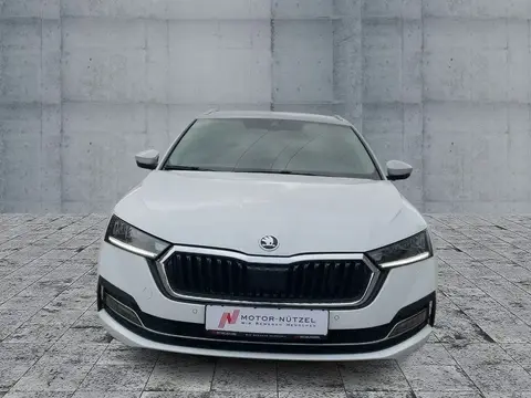 Annonce SKODA OCTAVIA Diesel 2021 d'occasion 