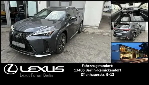 Used LEXUS UX Hybrid 2023 Ad 