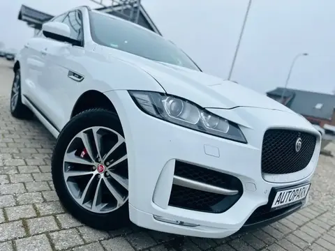 Used JAGUAR F-PACE Diesel 2017 Ad 