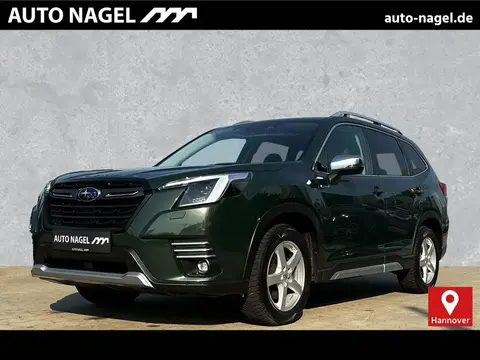 Used SUBARU FORESTER Petrol 2022 Ad 