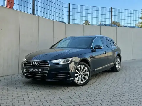 Used AUDI A4 Diesel 2017 Ad 