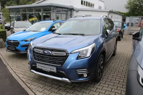 Used SUBARU FORESTER Petrol 2023 Ad 