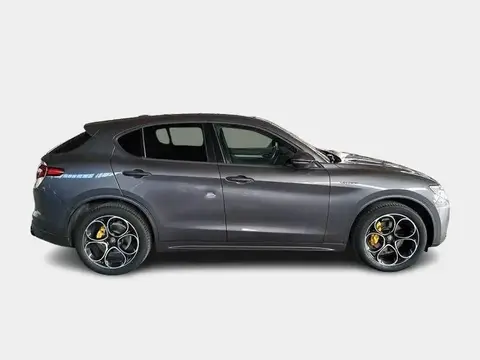 Used ALFA ROMEO STELVIO Diesel 2021 Ad 