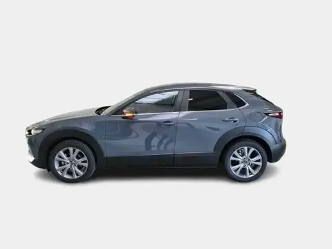 Used MAZDA CX-30 Hybrid 2023 Ad 