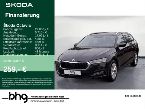 Used SKODA OCTAVIA Diesel 2021 Ad 