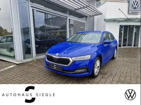 Used SKODA OCTAVIA Diesel 2020 Ad 