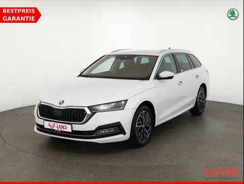 Annonce SKODA OCTAVIA Diesel 2023 d'occasion 