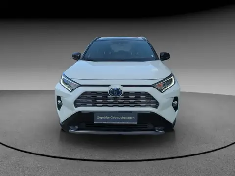 Used TOYOTA RAV4 Hybrid 2020 Ad 