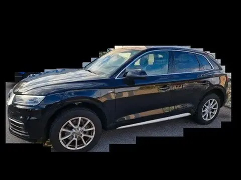 Used AUDI Q5 Diesel 2019 Ad 