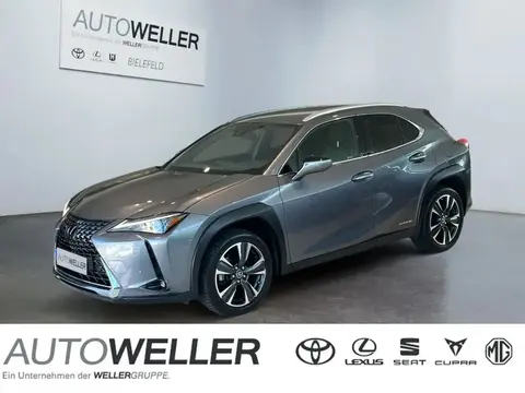 Used LEXUS UX Hybrid 2021 Ad 