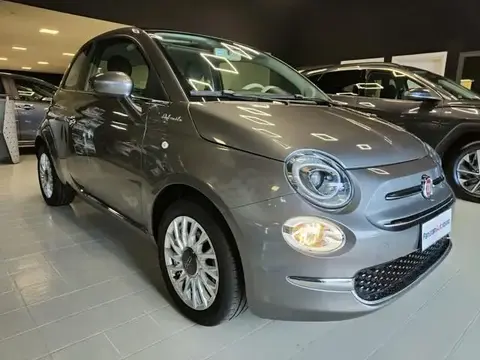 Used FIAT 500 Hybrid 2021 Ad 