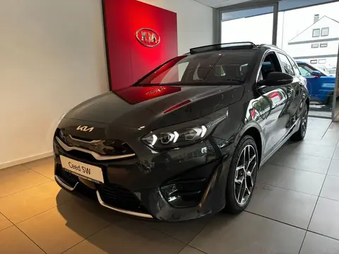 Annonce KIA CEED Hybride 2024 d'occasion 