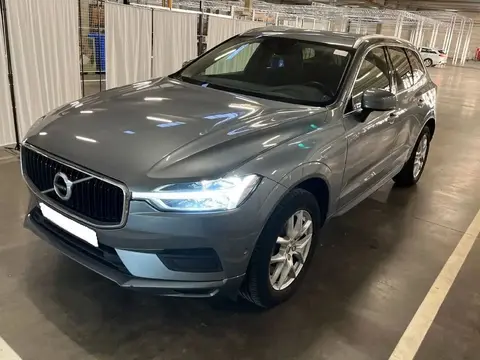 Annonce VOLVO XC60 Diesel 2019 d'occasion 