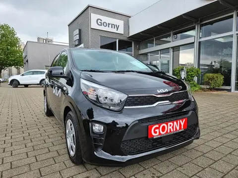 Used KIA PICANTO Petrol 2024 Ad 