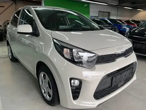 Annonce KIA PICANTO Essence 2024 d'occasion 