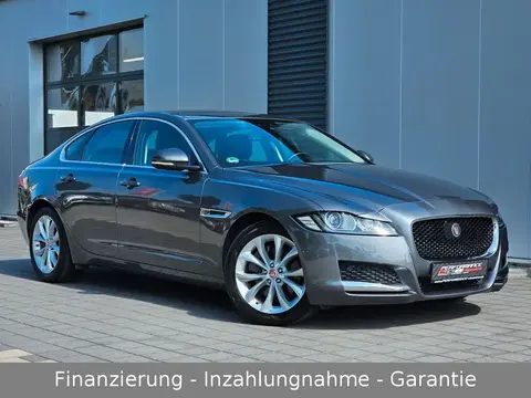 Annonce JAGUAR XF Diesel 2016 d'occasion 