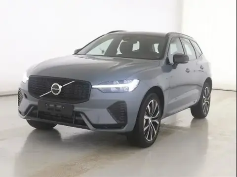 Used VOLVO XC60 Petrol 2024 Ad 