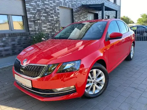 Annonce SKODA OCTAVIA Diesel 2017 d'occasion 