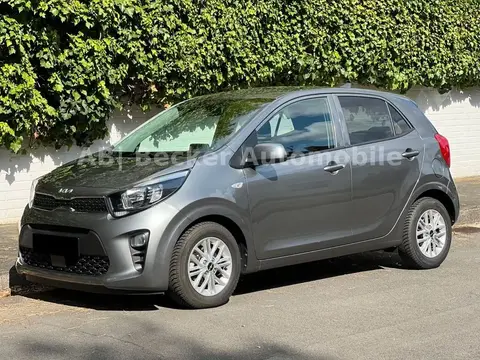 Used KIA PICANTO Petrol 2023 Ad 