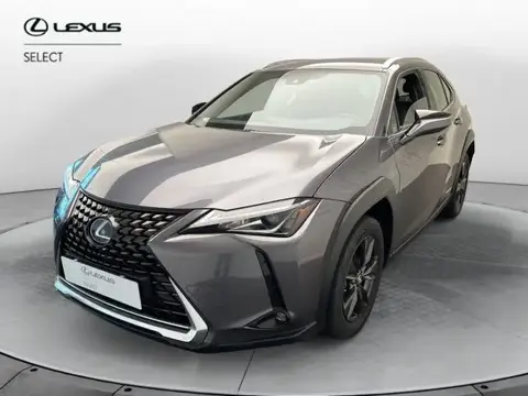 Annonce LEXUS UX Hybride 2020 d'occasion 